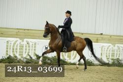 24R13_03699 thumbnail