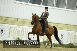 24R13_03701 thumbnail