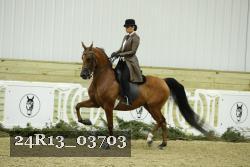 24R13_03703 thumbnail