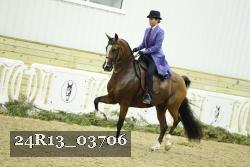 24R13_03706 thumbnail