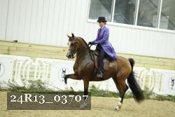 24R13_03707 thumbnail