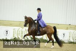 24R13_03708 thumbnail