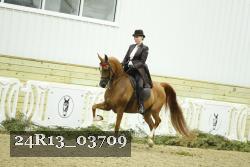 24R13_03709 thumbnail
