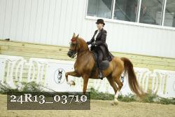 24R13_03710 thumbnail