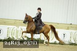 24R13_03711 thumbnail