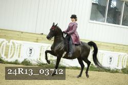 24R13_03712 thumbnail