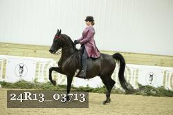 24R13_03713 thumbnail
