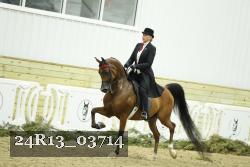 24R13_03714 thumbnail