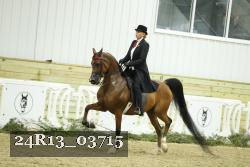 24R13_03715 thumbnail