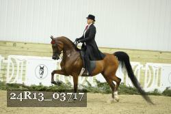 24R13_03717 thumbnail