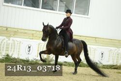 24R13_03718 thumbnail