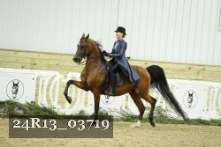 24R13_03719 thumbnail