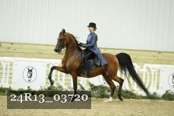 24R13_03720 thumbnail