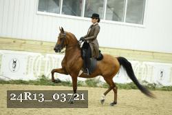 24R13_03721 thumbnail