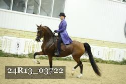 24R13_03722 thumbnail