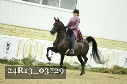24R13_03729 thumbnail