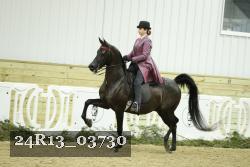 24R13_03730 thumbnail