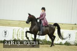 24R13_03731 thumbnail
