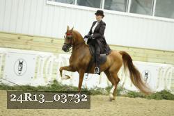 24R13_03732 thumbnail