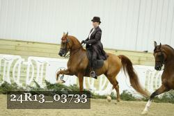 24R13_03733 thumbnail