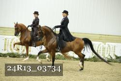 24R13_03734 thumbnail