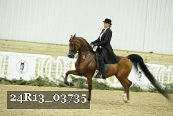 24R13_03735 thumbnail