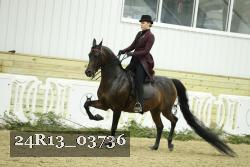 24R13_03736 thumbnail