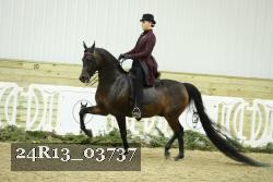 24R13_03737 thumbnail