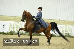 24R13_03738 thumbnail