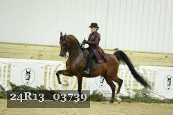 24R13_03739 thumbnail