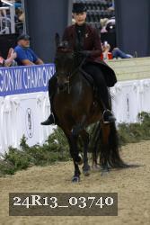 24R13_03740 thumbnail