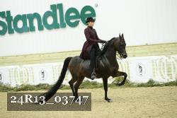 24R13_03747 thumbnail