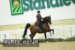 24R13_03748 thumbnail