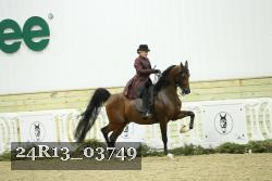 24R13_03749 thumbnail
