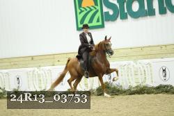24R13_03753 thumbnail