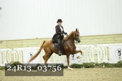 24R13_03756 thumbnail
