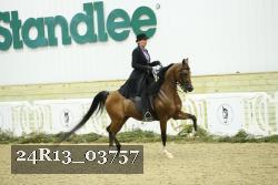24R13_03757 thumbnail