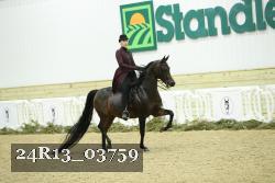 24R13_03759 thumbnail