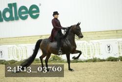 24R13_03760 thumbnail