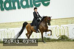 24R13_03761 thumbnail