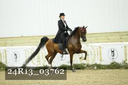 24R13_03762 thumbnail
