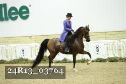 24R13_03764 thumbnail