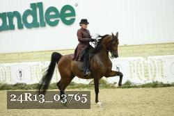 24R13_03765 thumbnail