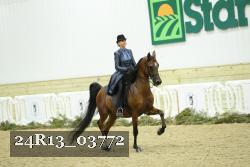 24R13_03772 thumbnail