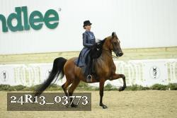 24R13_03773 thumbnail