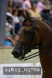 24R13_03780 thumbnail