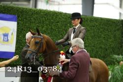 24R13_03784 thumbnail