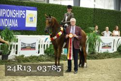 24R13_03785 thumbnail