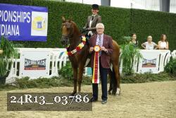24R13_03786 thumbnail
