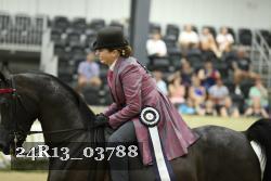 24R13_03788 thumbnail